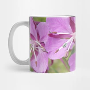 Violet flowers Mug